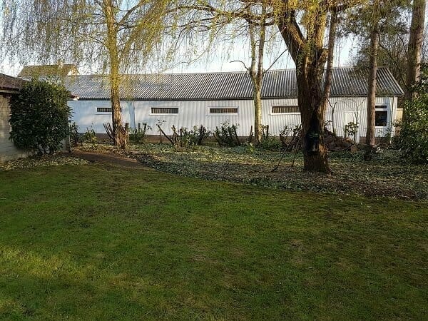 Groeiplaatsverbetering van een wilg (salix) te Hulshout