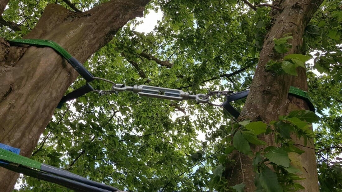 Boom advies - plaatsen mechanisch kroonanker om uitbreken kroondelen te voorkomen. Parktuin te Heist-op-den-Berg.