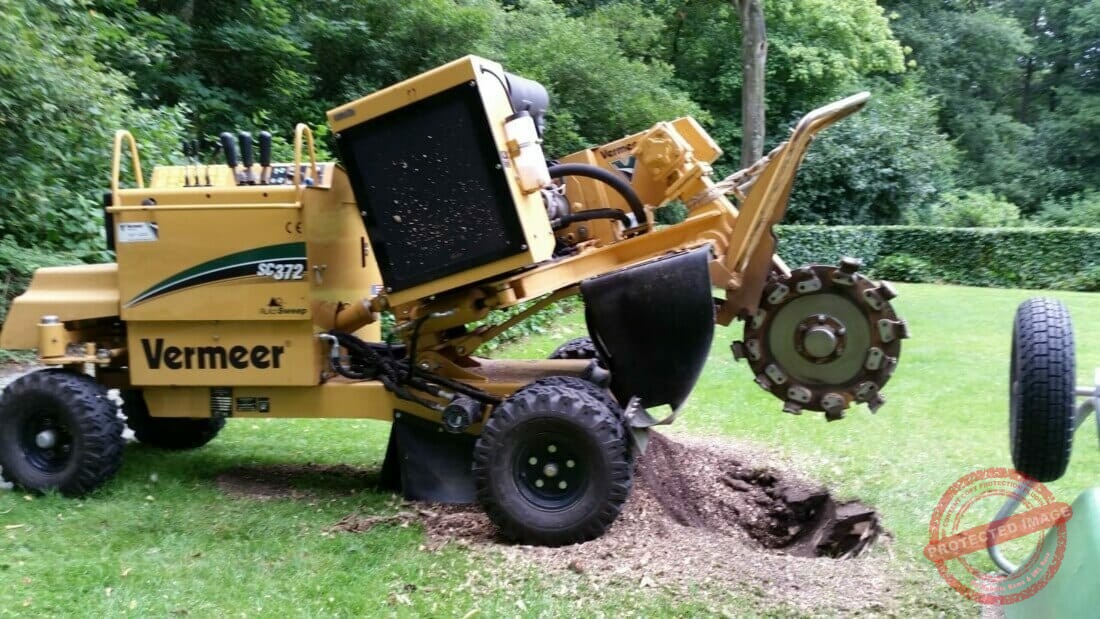 Uitfrezen stronk in keurig gazon.
