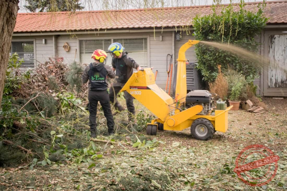 Hakselen takken in kleinere tuin met kleine maar krachtige hakselaar