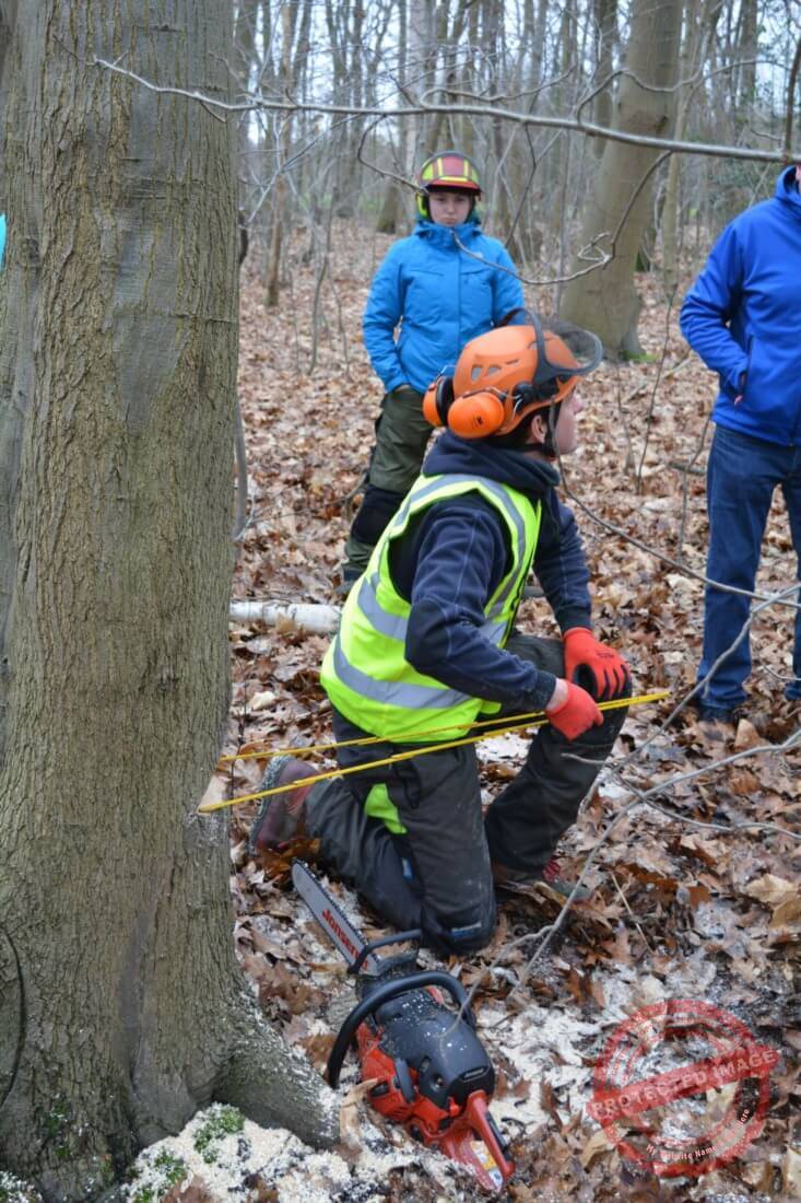 Controleren van de valrichting voor het vellen