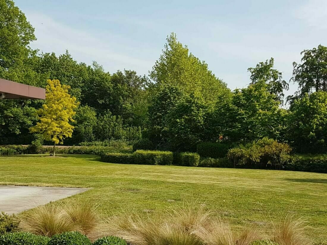 Aanplant van bomen in een parktuin te Beerzel