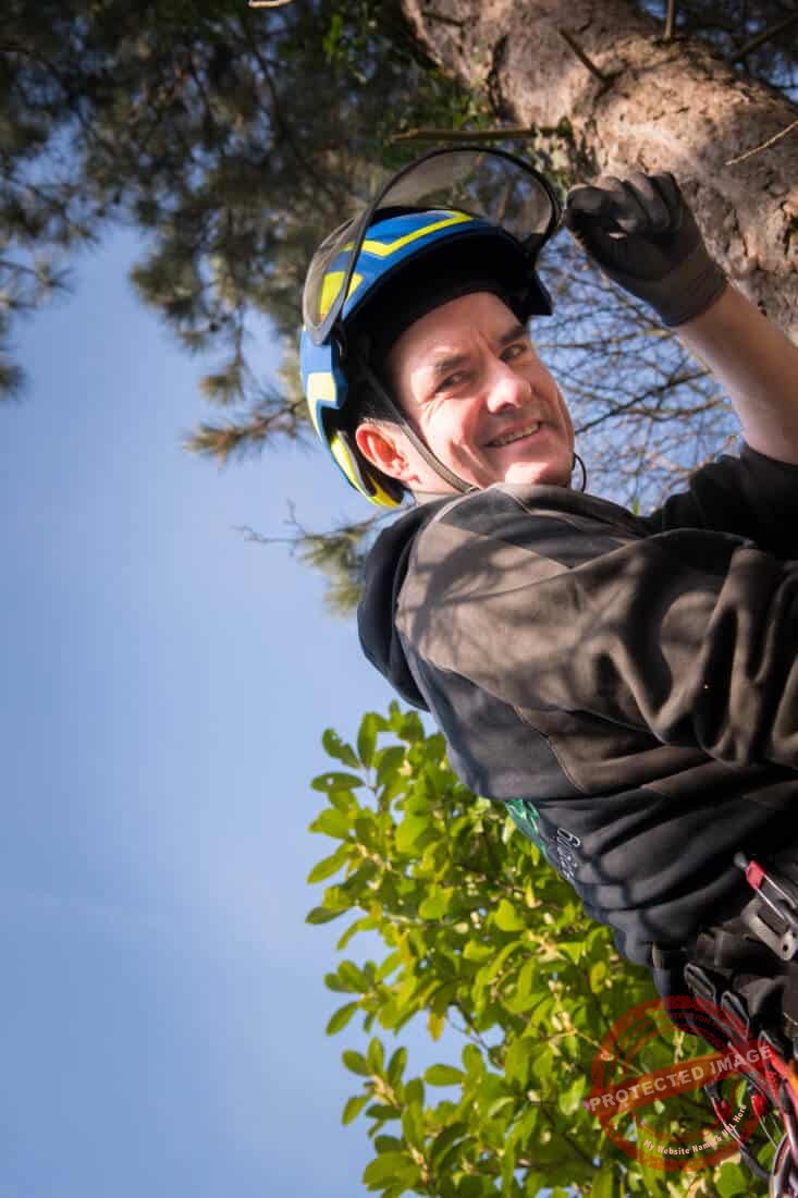 Wie is Bert Janssens van b-Tree Boomverzorging? Certified Tree Manager in actie.
