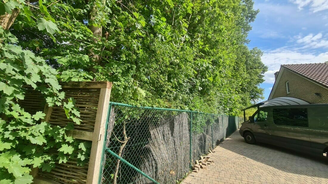De werkomgeving na de werken: alles netjes opgeruimd na het snoeien van de bomen en na het hakselen