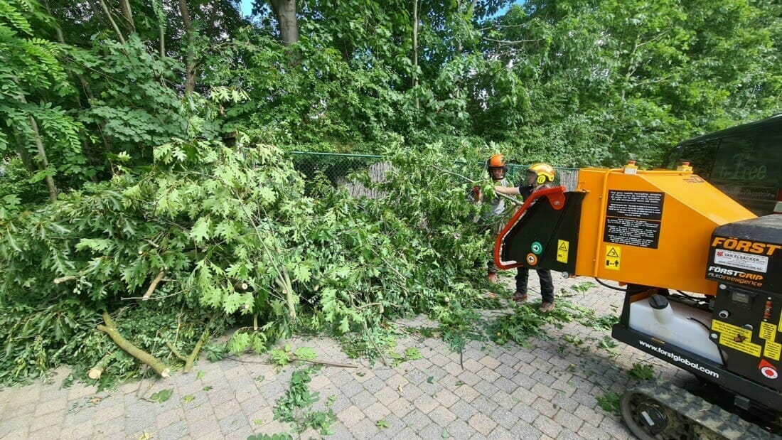 De klimmende boomverzorger en assistent grondman hakselen samen na het snoeien de takken, met een krachtige en efficiënte hakselaar.
