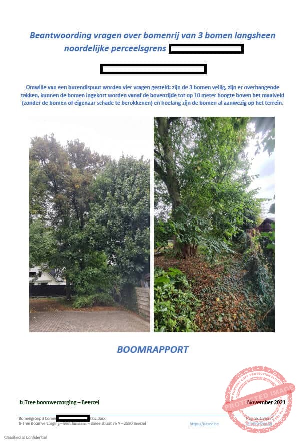 Printscreen van het voorblad van een boomtechnisch adviesrapport in een juridisch geschil, opgesteld door onze boomdeskundige of boomtechnisch adviseur.