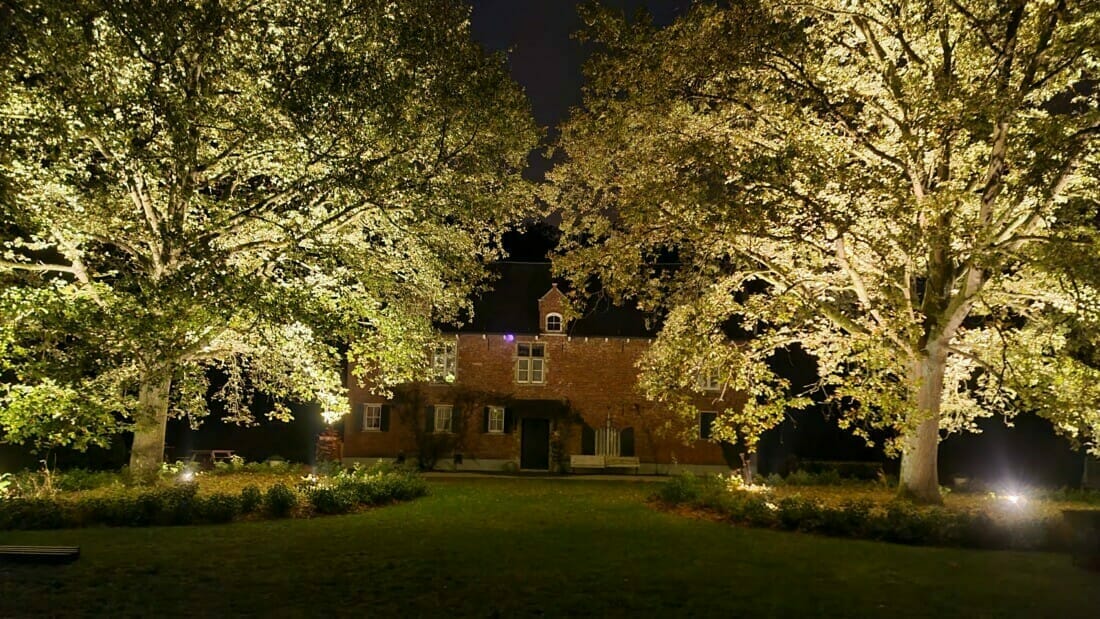 Groeiplaatsinrichting van twee eiken in parktuin Pelgrimhof. Aanleg boomverlichting in de wortelzones van de bomen zonder wortelschade te maken.