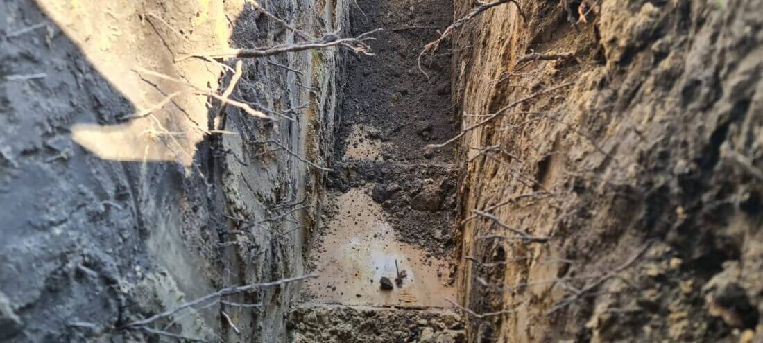 Proefgeul gemaakt tijdens voorafgaandelijk wortelonderzoek om na te gaan of er geen te grote wortels aanwezig zijn, zodat er geen wortelschade wordt gemaakt tijdens graafwerken.