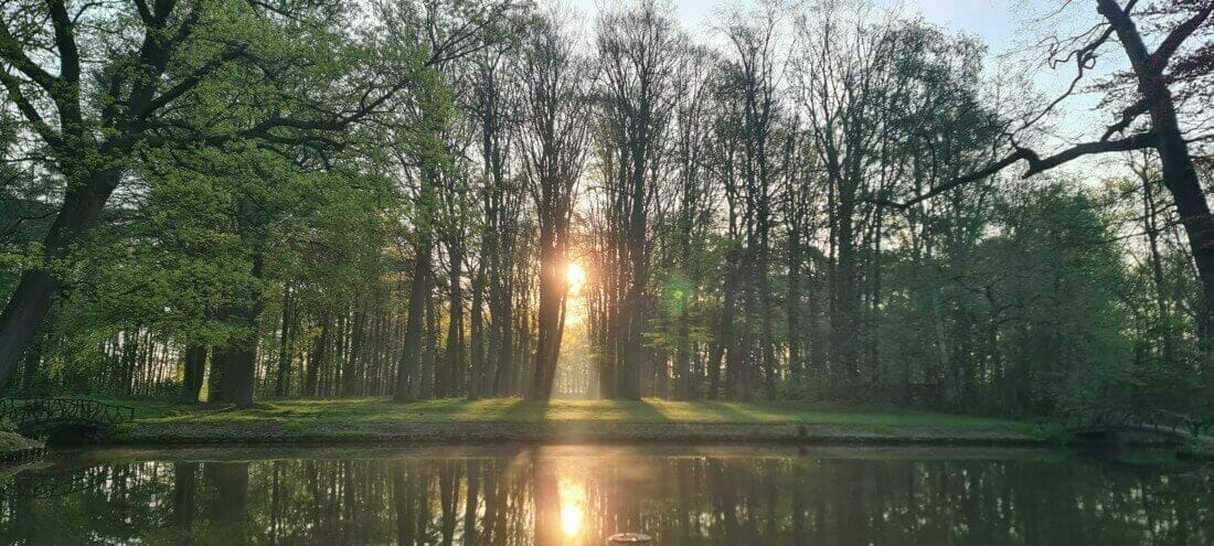 Kasteeltuin met park en grote vijver. De vijver buffert het water bij extreme weersomstandigheden en is zo een bron voor leven, zowel binnen als buiten zijn oevers.