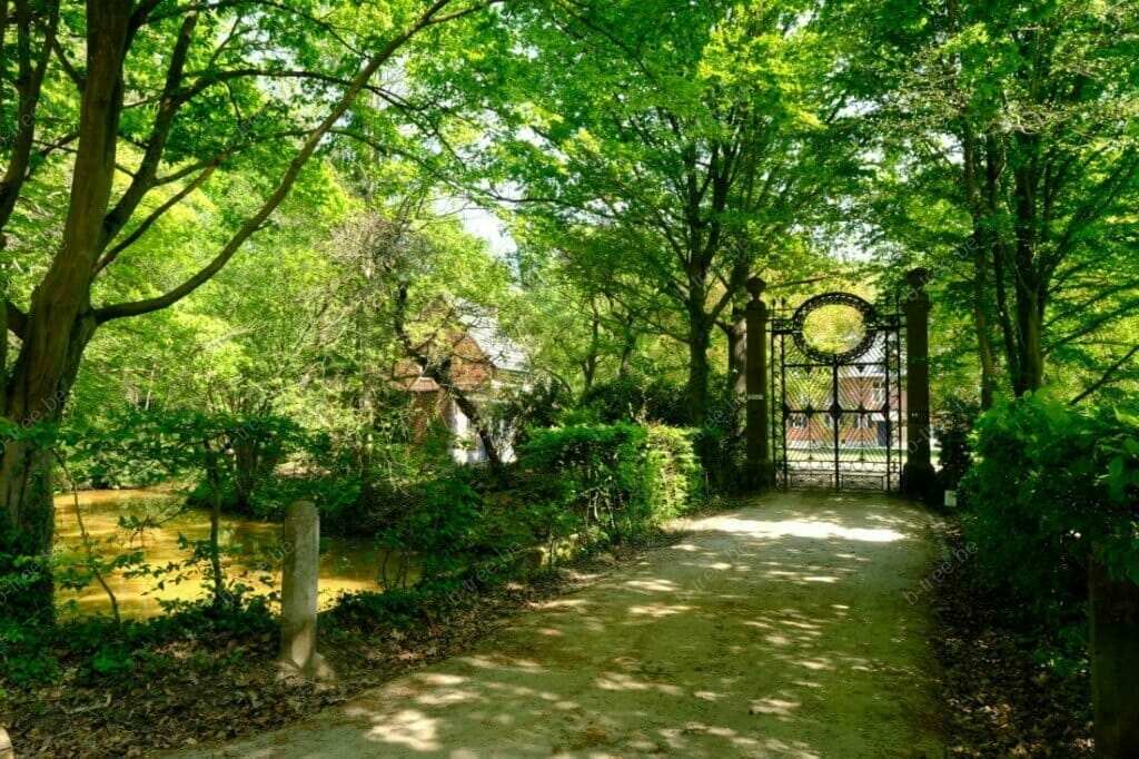 Toegangspoort erfgoed domein met links een haagbeuk en rechts een iep naast de poort.