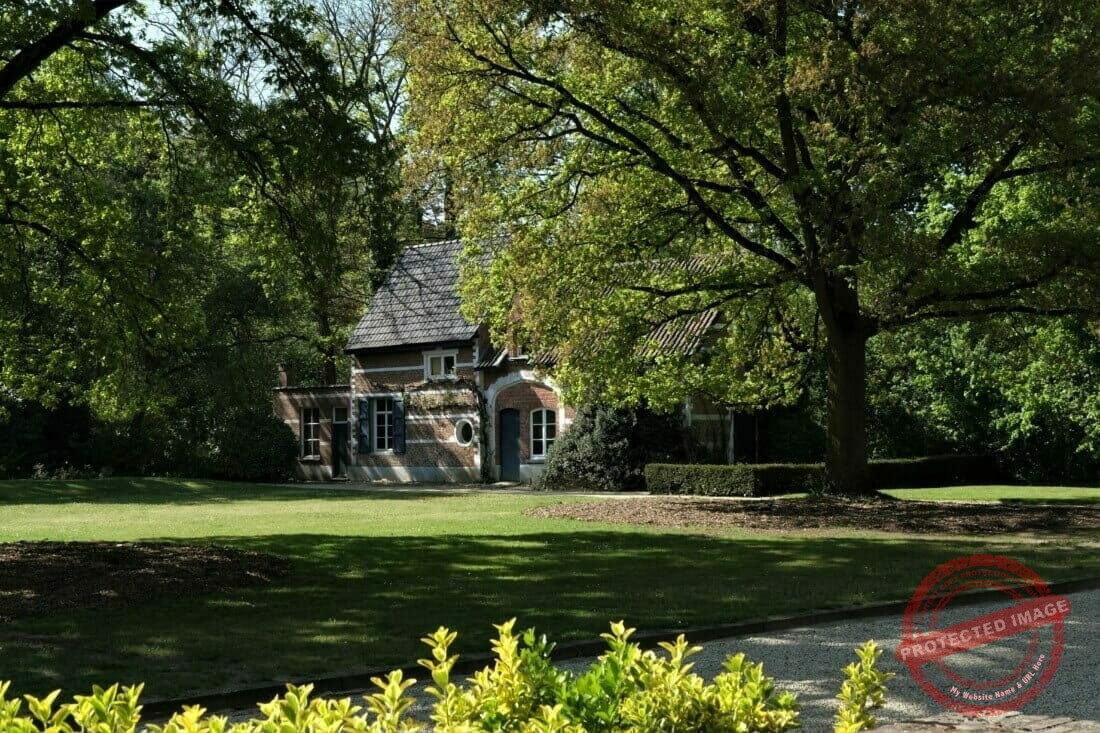 Beheer van onderhoud van landschappelijk erfgoed domeinen, boomverzorging en het opstellen van beheerplannen door boomverzorger b-Tree.