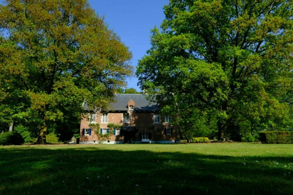 High End Expert Bomen, voor de beste zorgen en een professionele aanpak