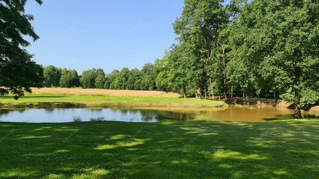 Landschapstuin met aangeplantte bomen en aangelegde waterpartij, die naadloos over gaat in het natuurlijke landschap en grasland
