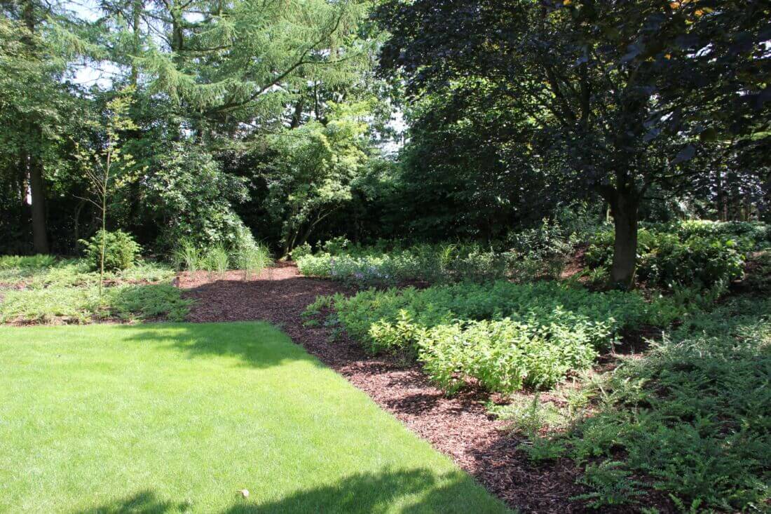 Aanleg van een border met mulch (hakselhout) voor een klimaatadaptieve en onderhoudsvriendelijke tuin. Die tevens dient als groeiplaatsinrichting en boombescherming voor de bestaande boom.