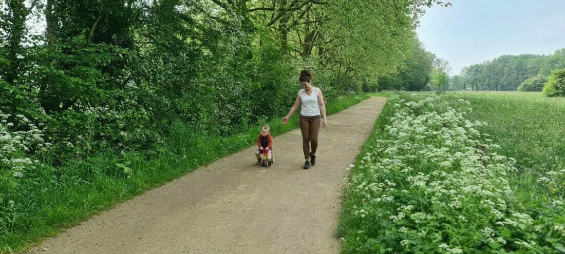 Ontspanning en wandeling op wandelpad langsheen grote bomen. Mensen zoeken de ecosysteemdienst "ontspanning" die de boom levert op, om er te gaan wandelen.