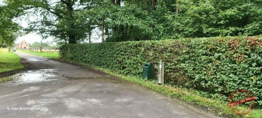 Snoeien van een haag langsheen de perceelsgrens van een parktuin.