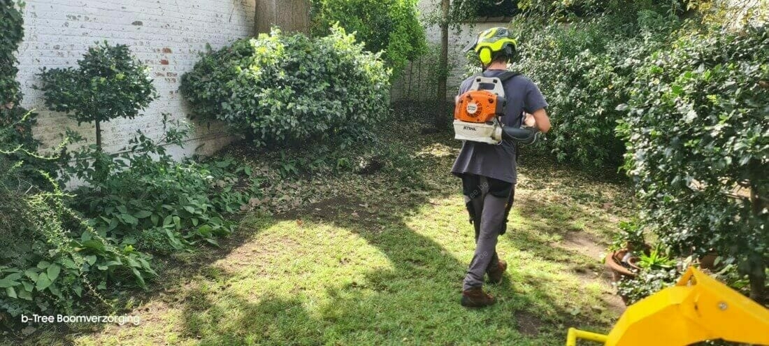 Tuin netjes opgeruimd en gebladblaasd na de snoeiwerken.