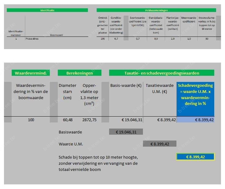 Printscreen van een taxatie of waardebepaling van boom.