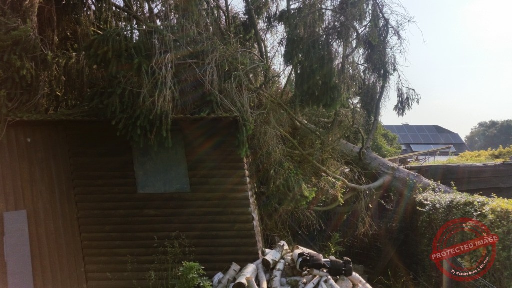 Schade door boom die ontworteld is en op tuinhuis en afsluiting gevallen is